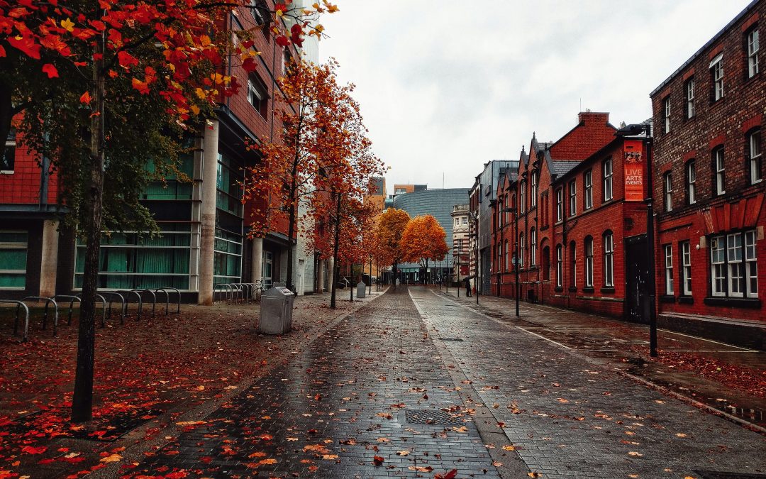 New environments and fresh perspectives: Reflections from a visiting PGR