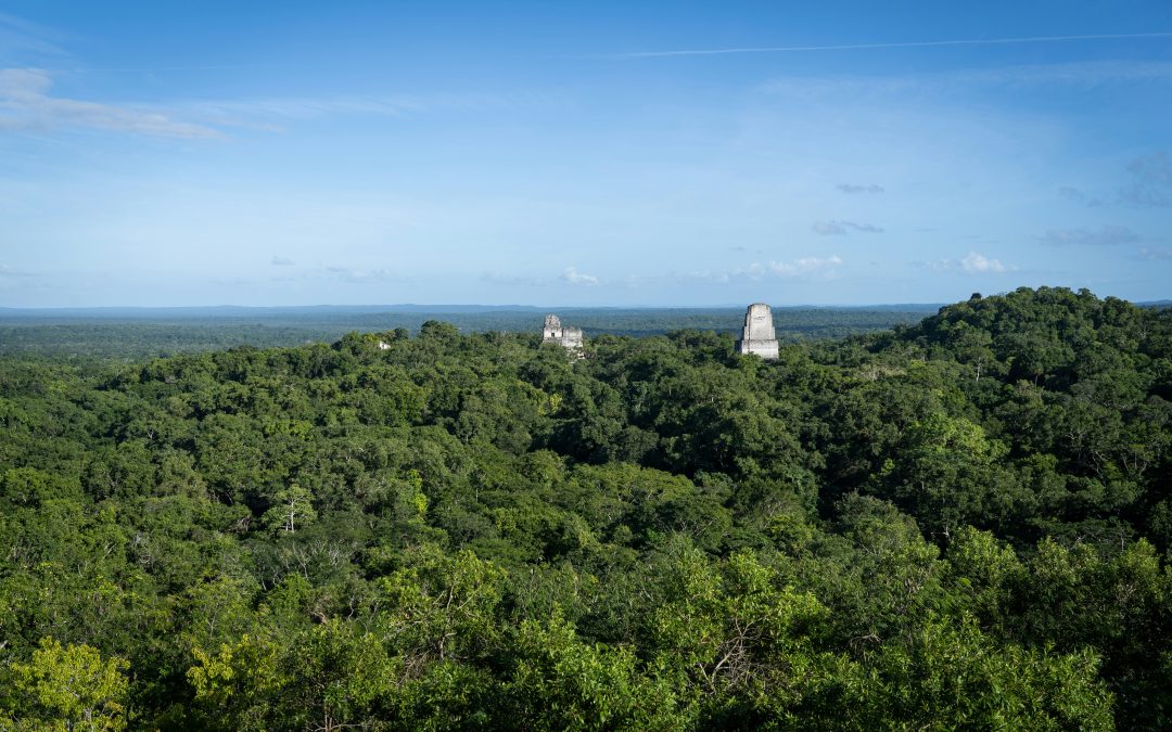 Introducing JEOC: why Earth Observation, why Conservation, why Justice?